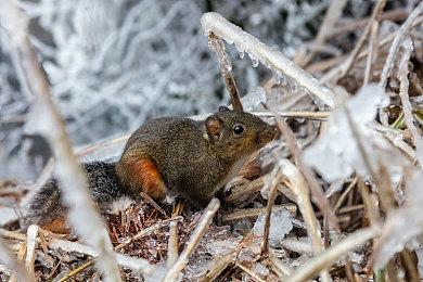 《灰雨钢锋》封闭测试开启 沉浸式第三人称开放世界RPG