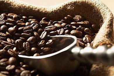 《光环：无限》设计师加盟EA 开发《星球大战绝地：陨落的武士团》续作