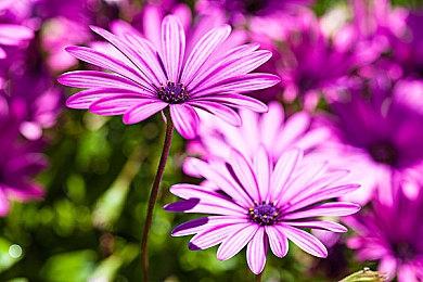 开膛破肚游戏《人体解剖VR》现已登陆PSVR