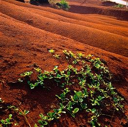 《王者荣耀》新英雄是美人鱼？玩家以为要联动迪士尼